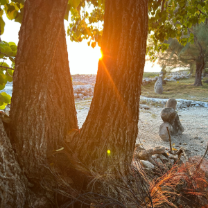 Mutther Synergy Package #1 - Mutther Synergy for Alignment